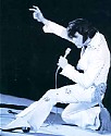 ELVIS