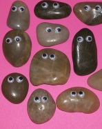 pet rocks